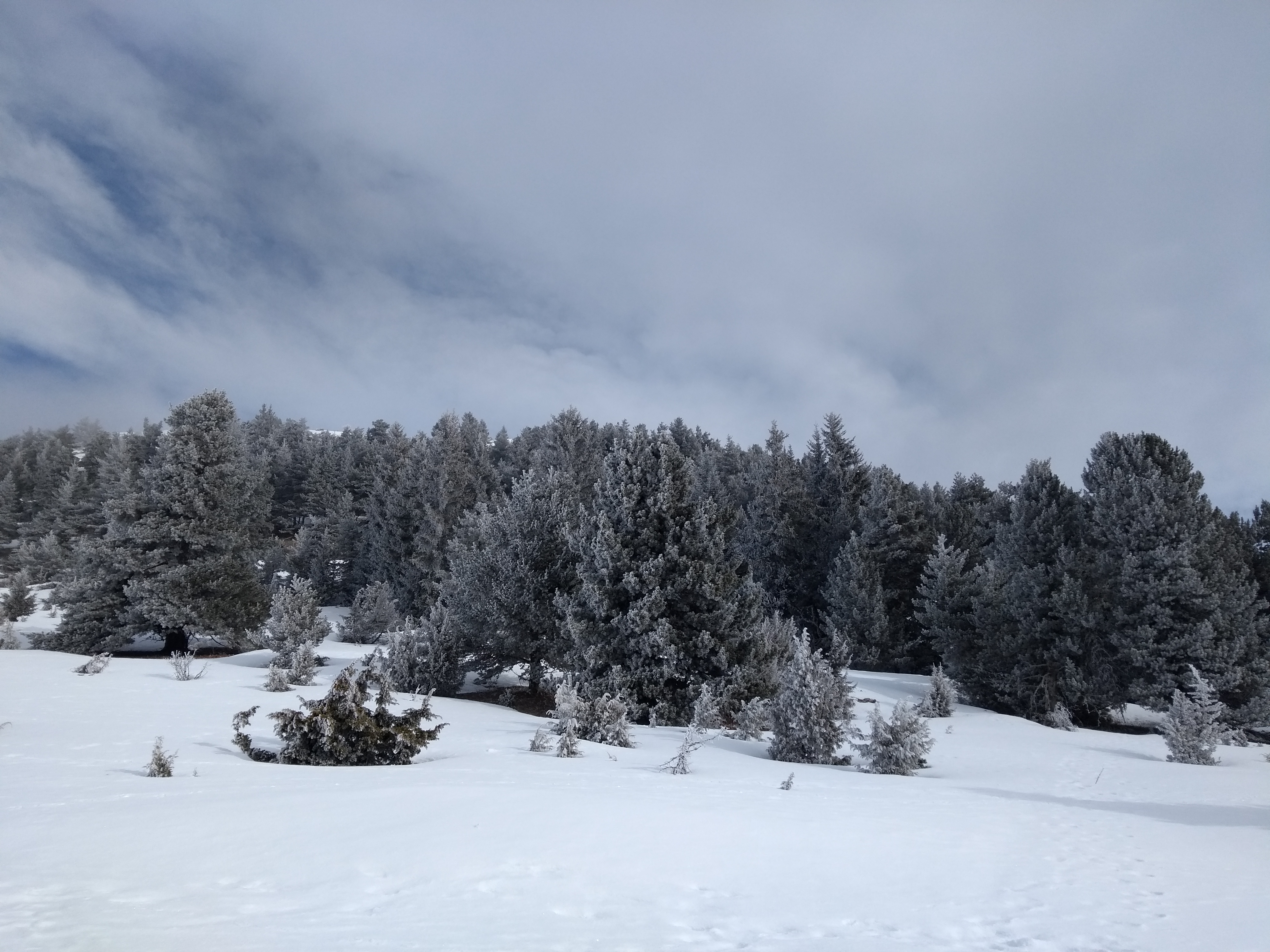 Photo n° 3 de l'avis de Amélie.r fait le 26/02/2018 à 06:42