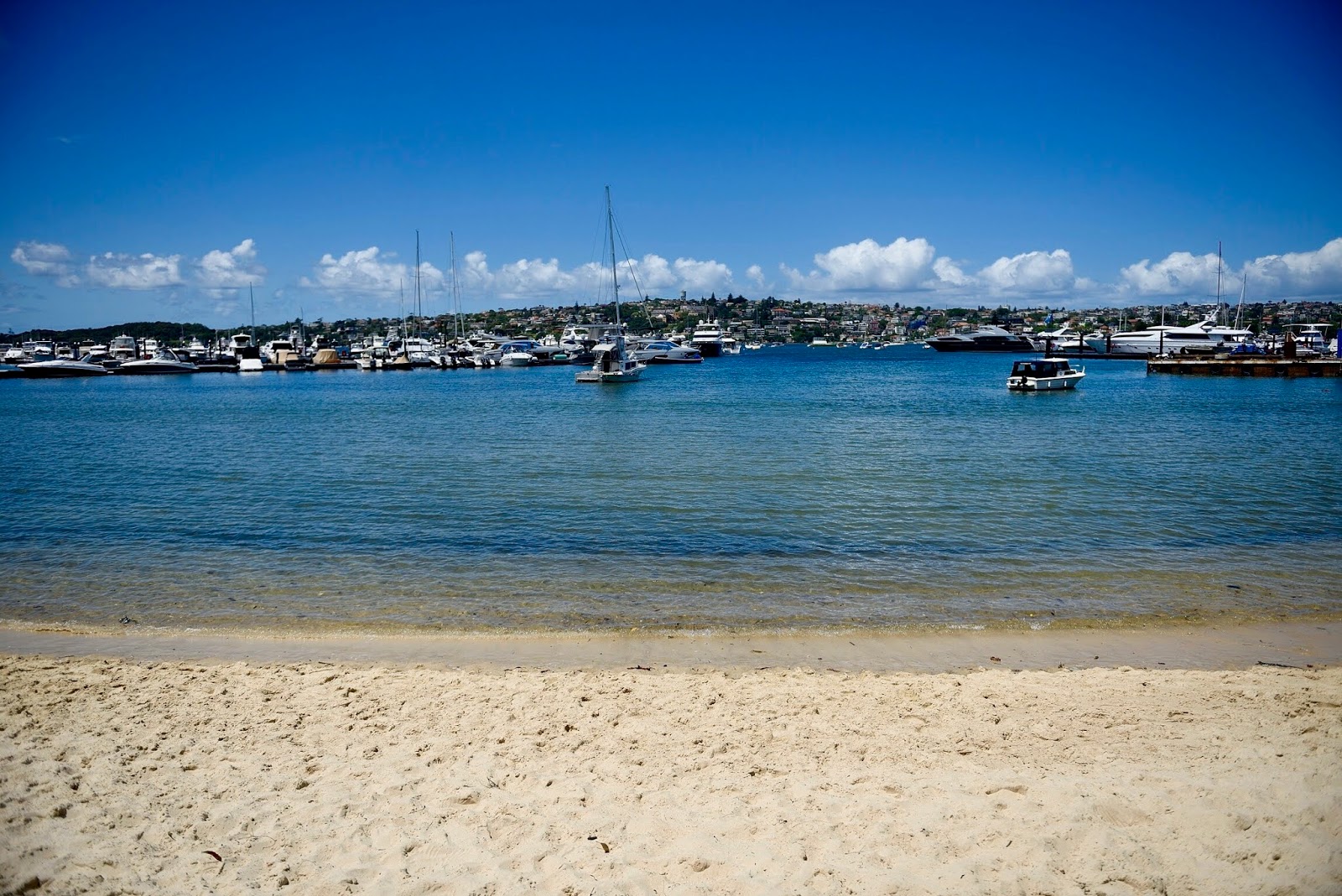 Fotografie cu Bellamy Beach - locul popular printre cunoscătorii de relaxare