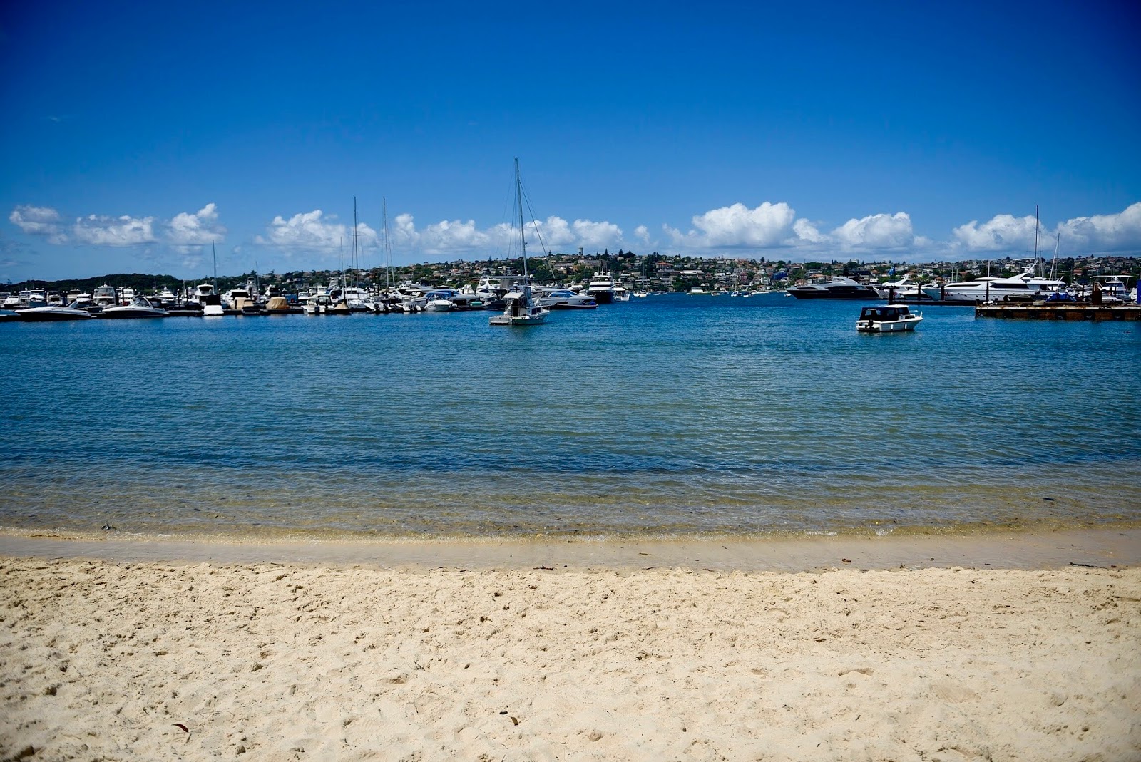 Bellamy Beach photo #7
