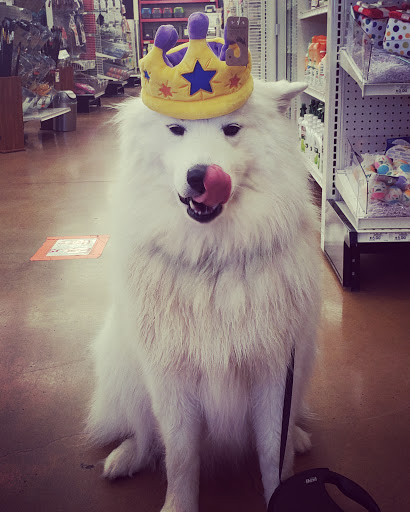 Pet Supply Store «Pet Food Express», reviews and photos, 300 Crossroads Blvd, Carmel-By-The-Sea, CA 93923, USA