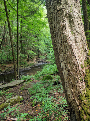 Nature Preserve «Mianus River Gorge Preserve», reviews and photos, 167 Mianus River Rd, Bedford, NY 10506, USA