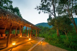 Tree Tops Jungle Lodge image