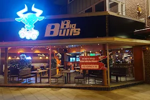 Big Bulls image