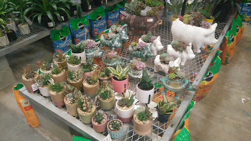 Home Improvement Store «The Home Depot», reviews and photos, 4141 Atlanta Hwy, Loganville, GA 30052, USA