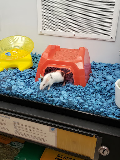 Pet Supply Store «Petco Animal Supplies», reviews and photos, 1660 Orchard Gateway Blvd, North Aurora, IL 60542, USA