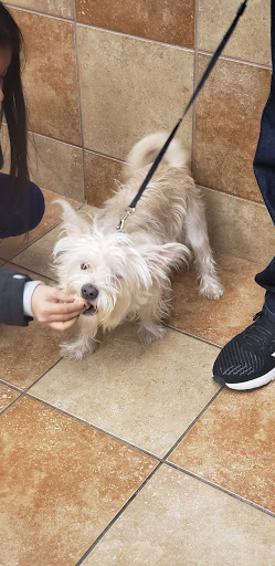 Pet Supply Store «PetSmart», reviews and photos, 11835 Retail Dr, Wake Forest, NC 27587, USA