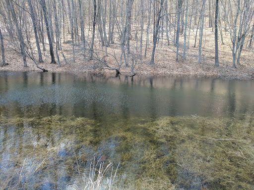 Hiking Area «The Pratt Center», reviews and photos, 163 Paper Mill Rd, New Milford, CT 06776, USA