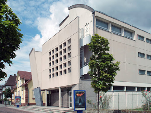 attractions la castine - Cinéma et Spectacles Reichshoffen