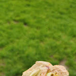 Photo n°3 de l'avis de Muhammed.a fait le 17/05/2021 à 19:22 sur le  Subway à Berlin