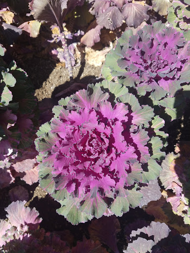 Golf Course «Admiral Baker Golf Course», reviews and photos, 2400 Admiral Baker Rd #3604, San Diego, CA 92124, USA