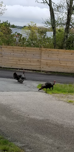 Campground «Bay View Campground», reviews and photos, 260 MacArthur Blvd, Bourne, MA 02532, USA