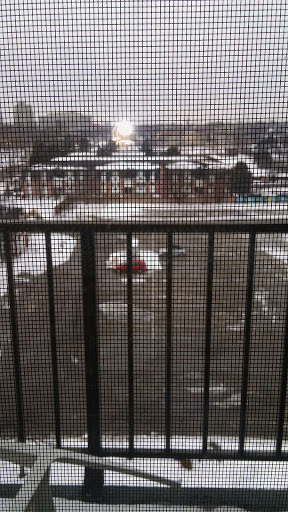 Supermarket «Mt Clemens farmers Market», reviews and photos, 135 N River Rd, Mt Clemens, MI 48043, USA