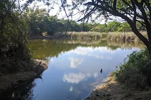 Manantiales de Laguna Prieta Ecological Park image