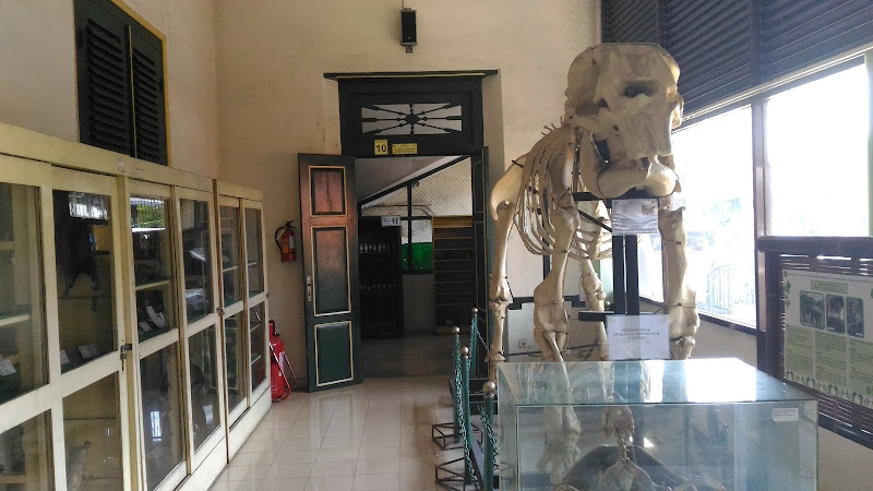 Museum Biologi Fakultas Biologi UGM