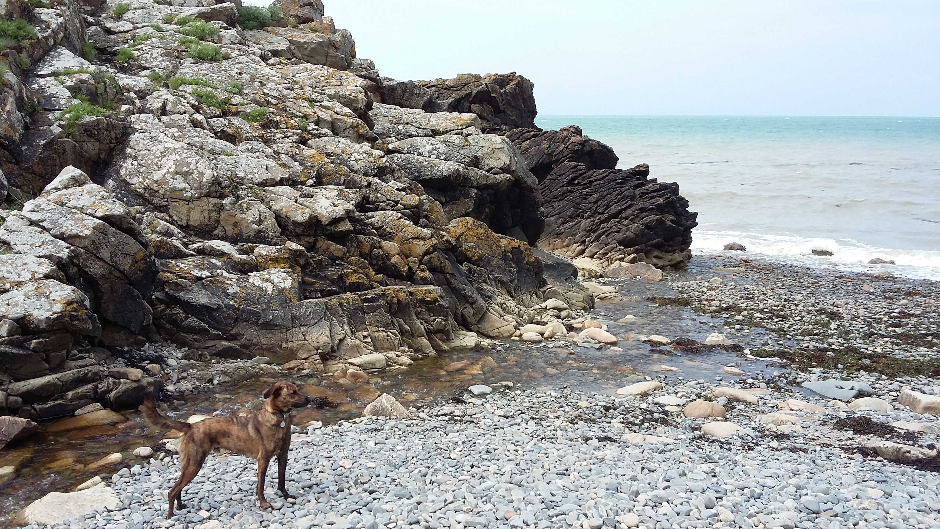 Photo n° 7 de l'avis de Caro. fait le 24/07/2021 à 20:48