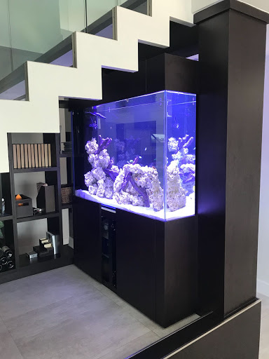 Aquarium «Aquarium Marketing», reviews and photos, 4615 NW 72nd Ave #112, Miami, FL 33166, USA