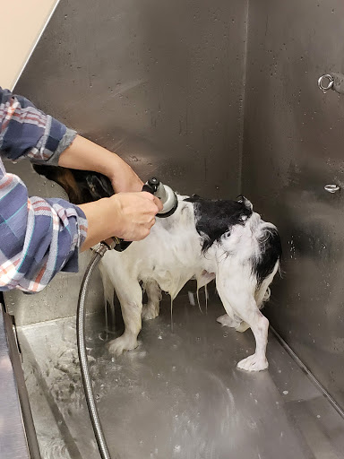 Pet Supply Store «Lemos Feed & Pet Supply», reviews and photos, 1320 Main St, Morro Bay, CA 93442, USA