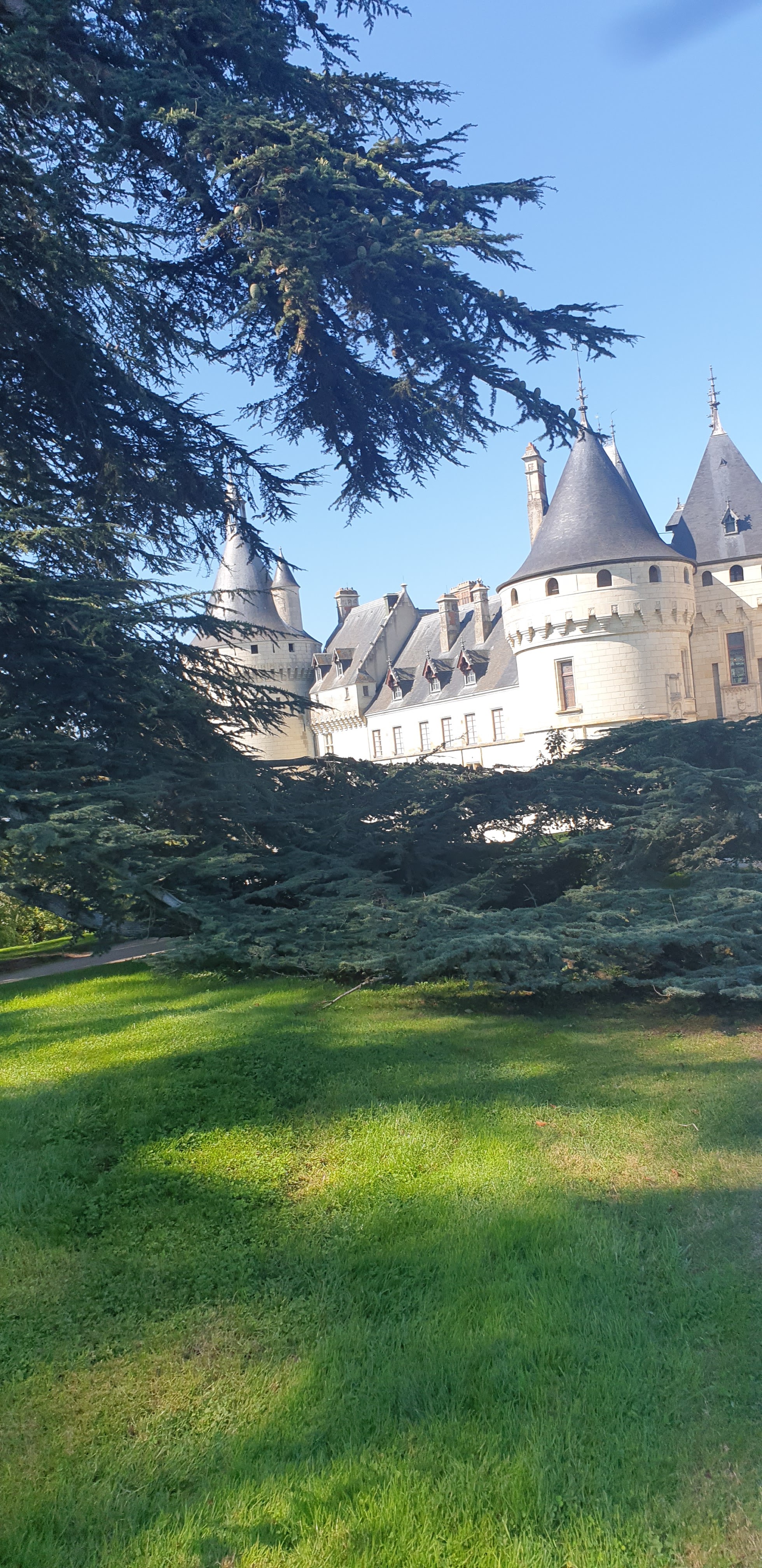 Photo n° 6 de l'avis de Flo.r fait le 24/09/2021 à 15:05