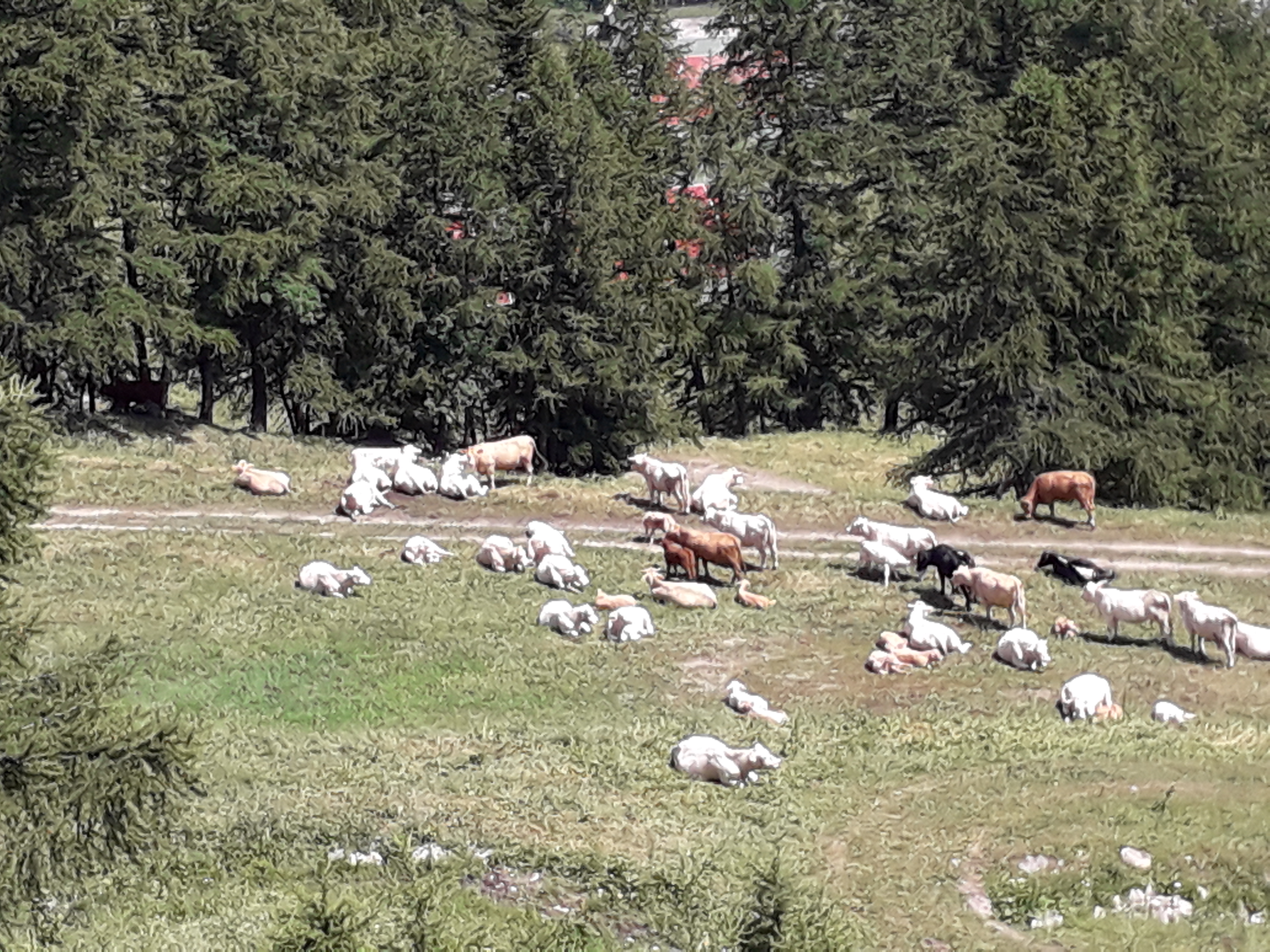 Photo n° 2 de l'avis de Guillaume.e fait le 23/08/2019 à 07:55