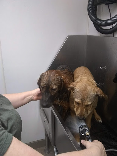 Pet Supply Store «Pet Supplies Plus», reviews and photos, 946 Joliet St, Dyer, IN 46311, USA