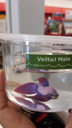 Pet Supply Store «Petco Animal Supplies», reviews and photos, 1808 Tamiami Trail a, Port Charlotte, FL 33948, USA