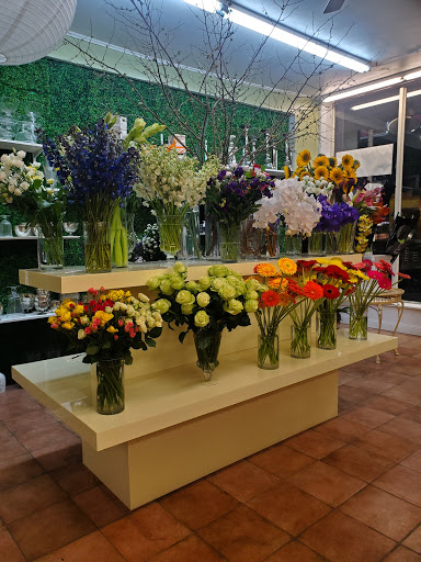 Florist «Blossom Heath Gardens», reviews and photos, 3025 Long Beach Rd, Oceanside, NY 11572, USA