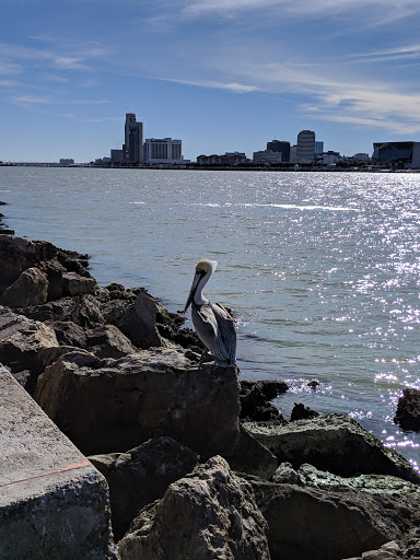 Museum «USS Lexington», reviews and photos, 2914 N Shoreline Blvd, Corpus Christi, TX 78402, USA