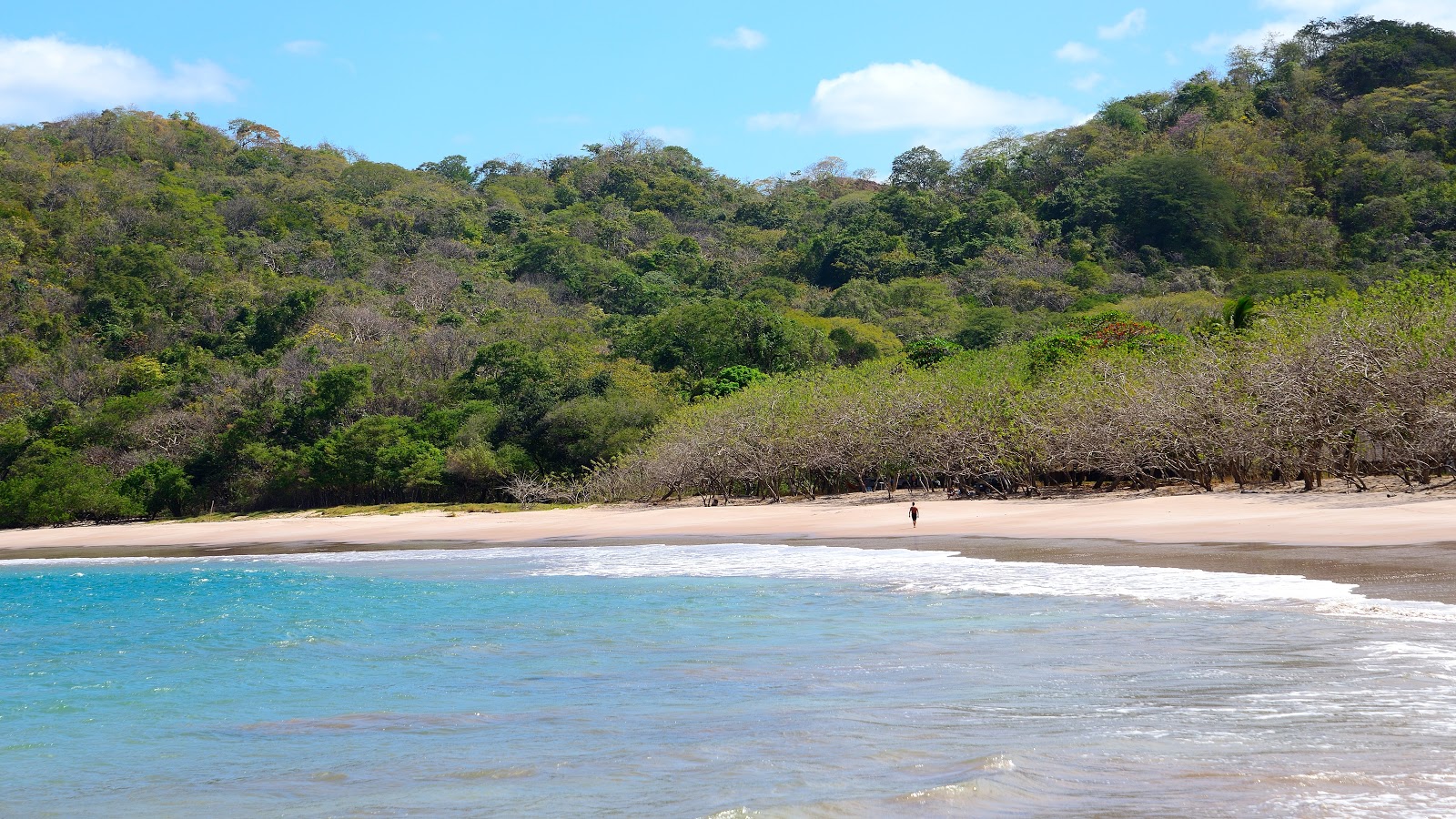 Zapotillal Beach 🏖️ Playa Real, Costa Rica detailed features, map, photos