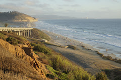 Torrey Pines State Beach