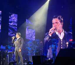 Lapa Lapa Foro GNP photo