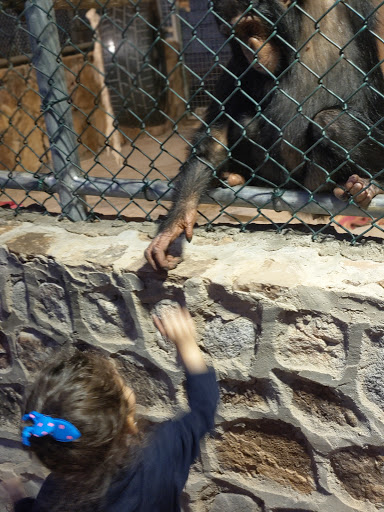 حديقة الوادي