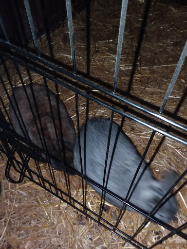 Home Improvement Store «Tractor Supply Co.», reviews and photos, 321 N 3rd St, Oxford, PA 19363, USA