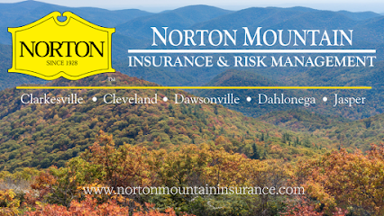 Norton Mountain Insurance