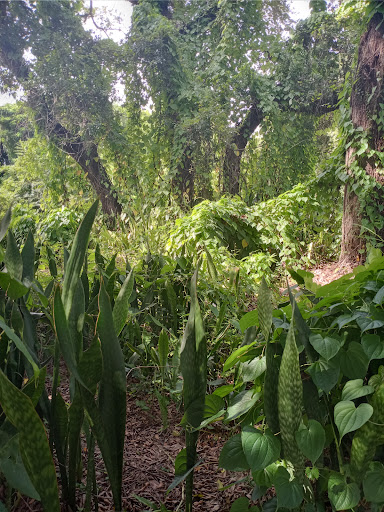 Park «Rolling Oaks Park», reviews and photos, 18701 NW 17th Ct, Miami Gardens, FL 33056, USA