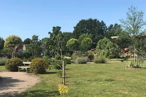 Station Road Community Gardens image