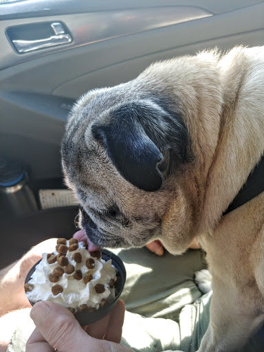 Espresso Bar «Beach Treasures Coffee and Gifts», reviews and photos, 699 Point Brown Ave NW, Ocean Shores, WA 98569, USA