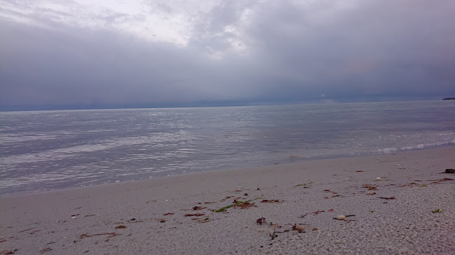 Kommentarer og anmeldelser af Polder Rev Grenå