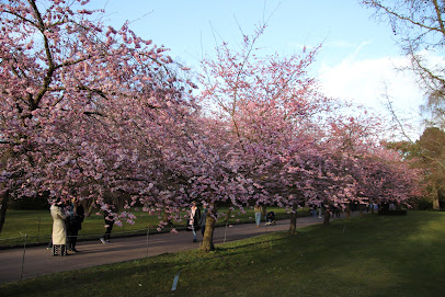 Søndre kapel