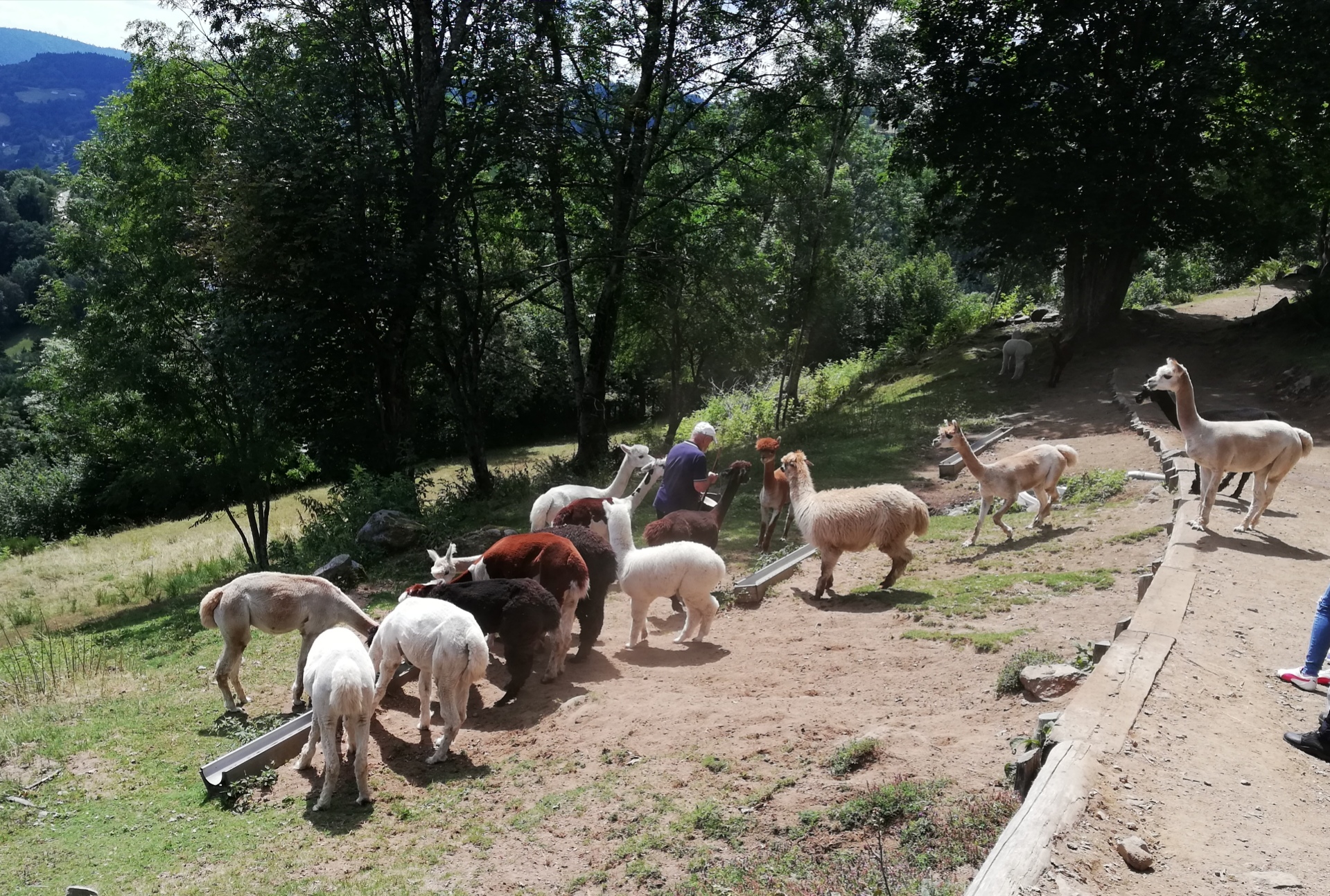 Photo n° 4 de l'avis de Vitor.o fait le 16/08/2022 à 17:00