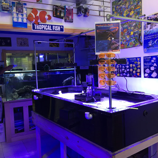 Tropical Fish Store «Hooked On Reefs», reviews and photos, 228 Hibiscus St #1, Jupiter, FL 33458, USA