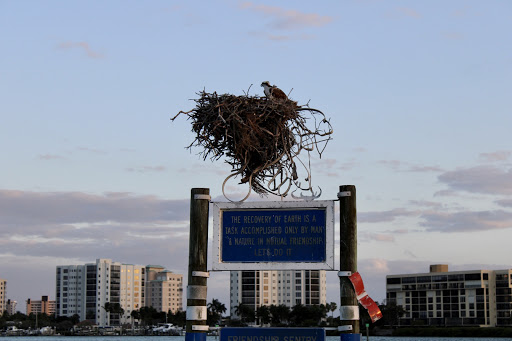 Boat Tour Agency «Good Time Charters», reviews and photos, 4765 Estero Blvd, Fort Myers Beach, FL 33931, USA