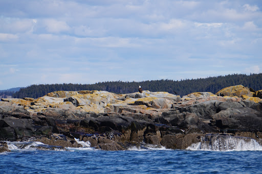 Sightseeing Tour Agency «Lulu Lobster Boat Ride», reviews and photos, 55 West St, Bar Harbor, ME 04609, USA