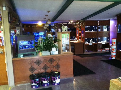 Pet Store «Caribbean Forest», reviews and photos, 24 Bursen Ct, Rochester, NY 14609, USA