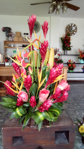 Las Flores de Estela – Colima