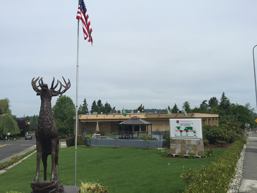 Insurance Agency «Choice Insurance», reviews and photos