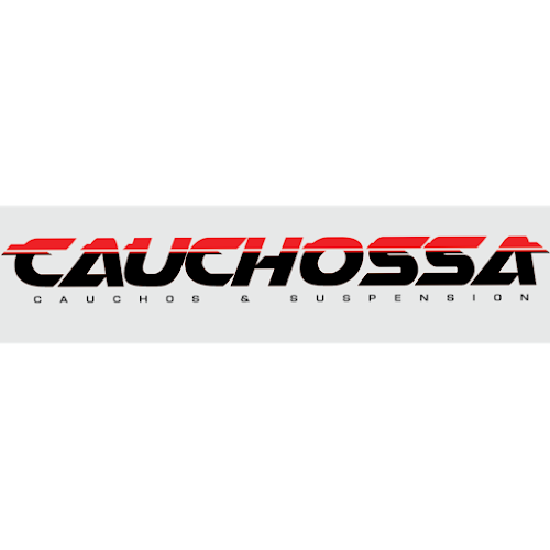 Comentarios y opiniones de CAUCHOSSA S.A.