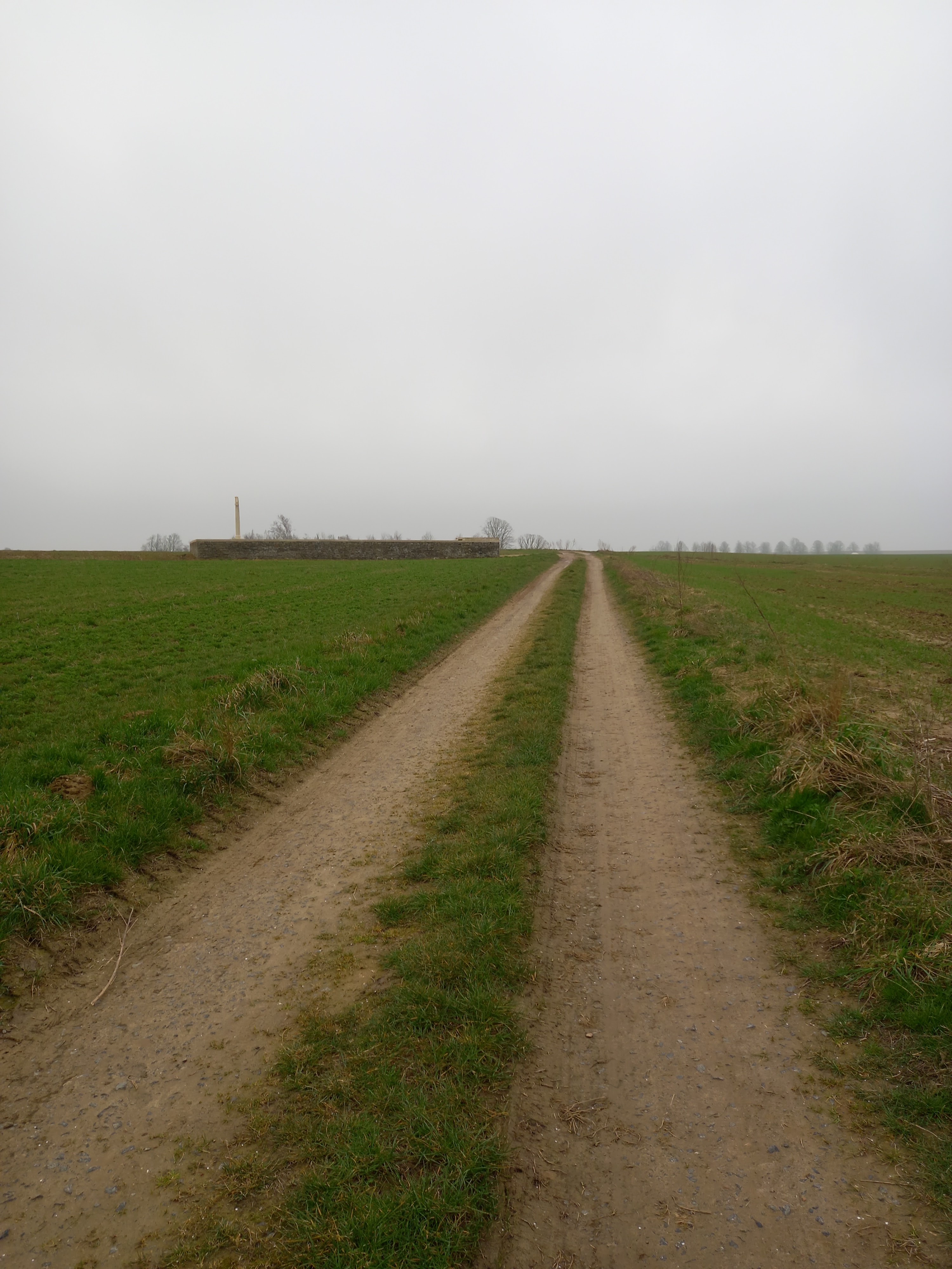 Photo n° 19 de l'avis de Andy.e fait le 21/03/2022 à 20:46