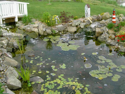 Pond contractor Independence