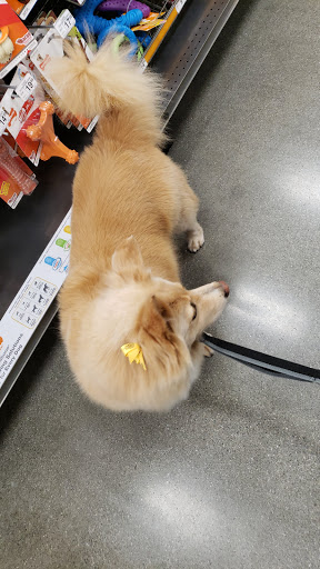 Pet Supply Store «Petco Animal Supplies», reviews and photos, 210 Nut Tree Pkwy, Vacaville, CA 95687, USA