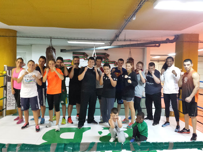 Avaliações doBarbosa Boxing Team em Porto - Academia